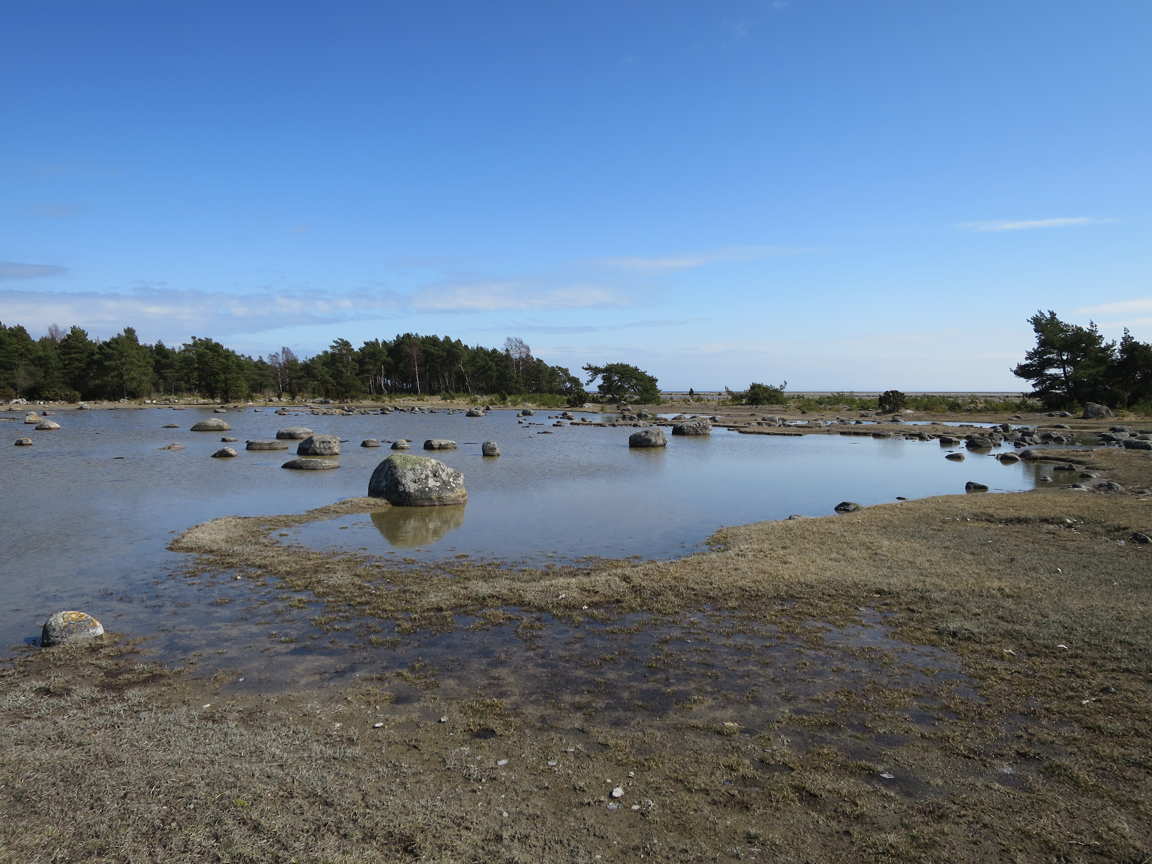 Sesonal flooded land at Grötlingboudd